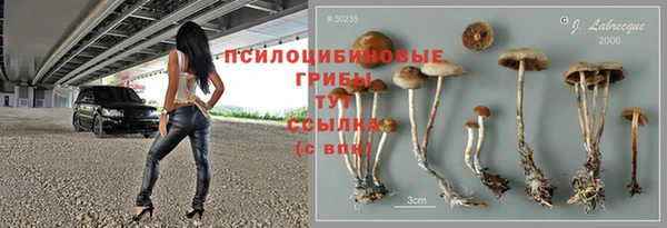 СК Вязники